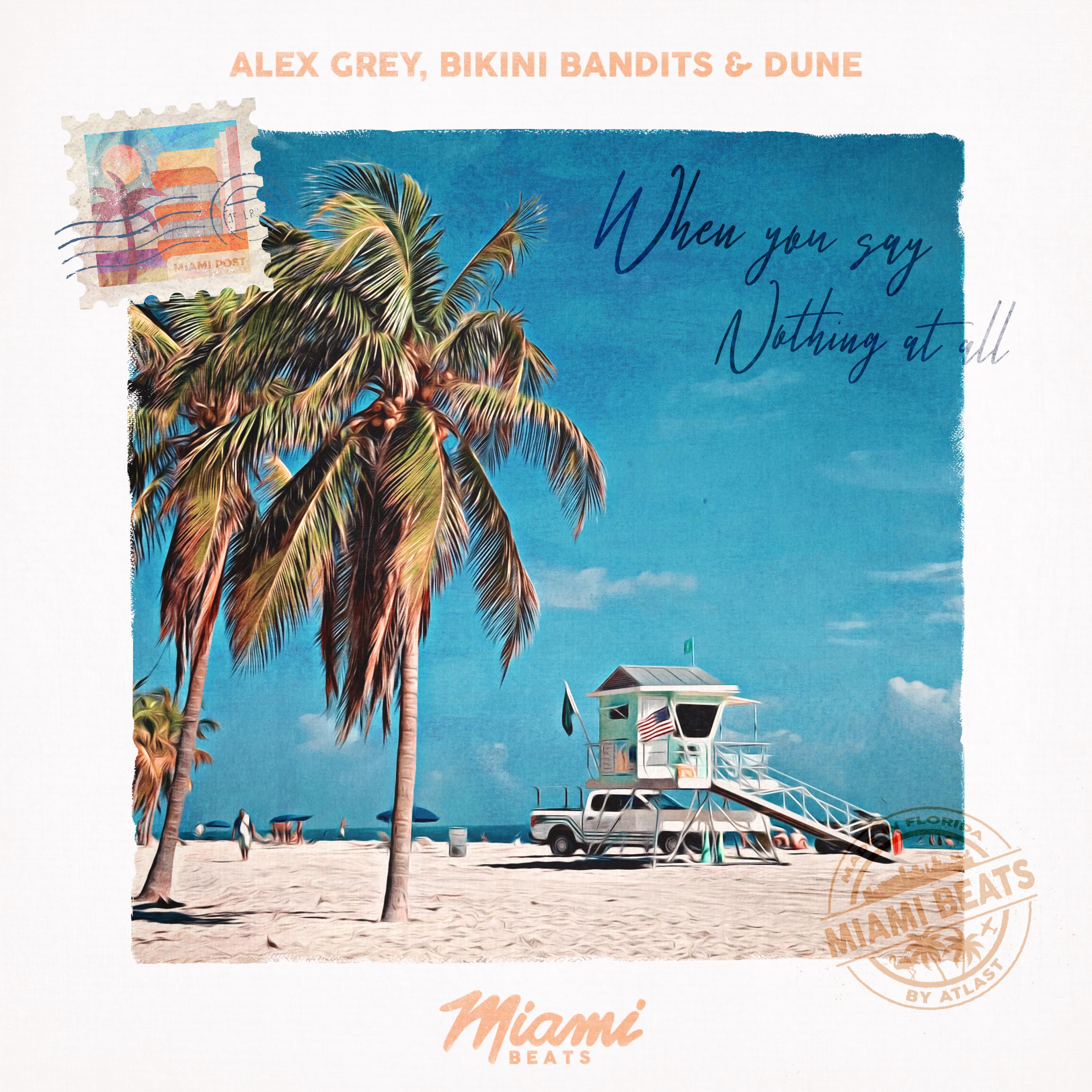 When You Say Nothing At All