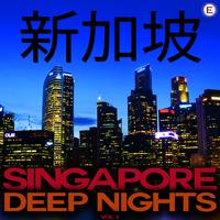 Singapore Deep Nights, Vol. 3