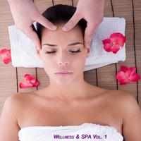 Wellness & Spa, Vol. 1 (Relax Your Mind)