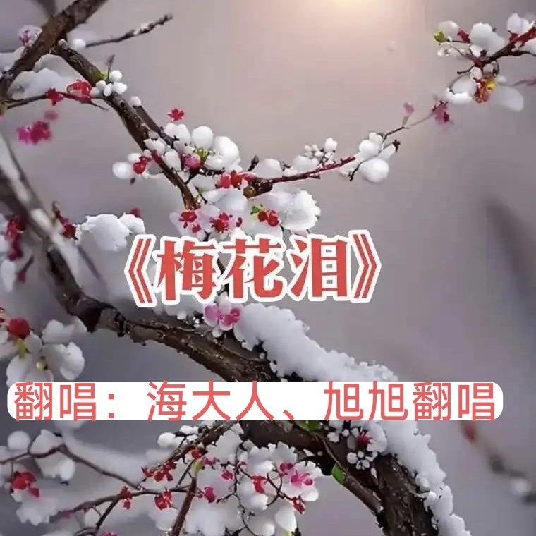 梅花泪 - 海大人、旭旭翻唱封面