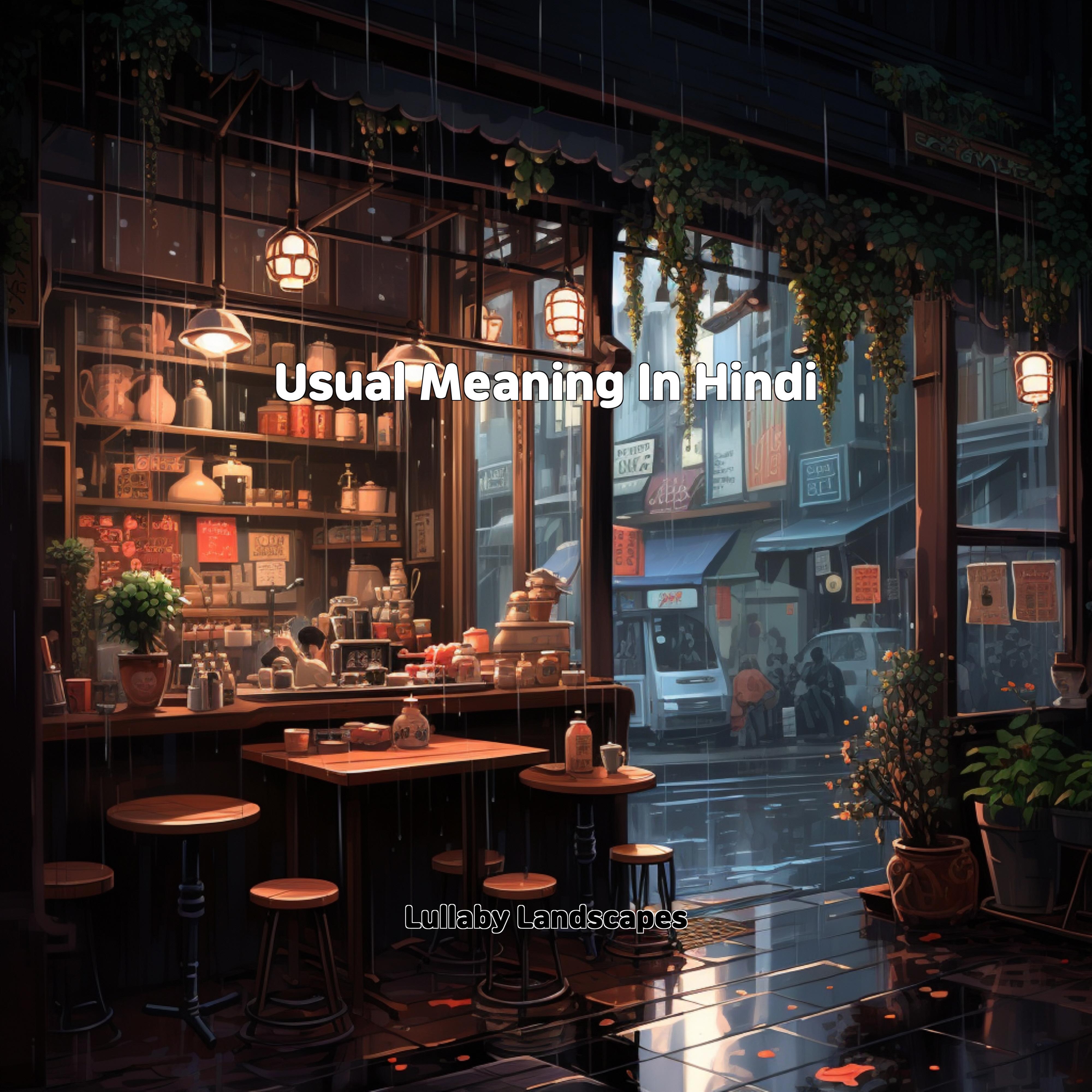 Usual Meaning In Hindi