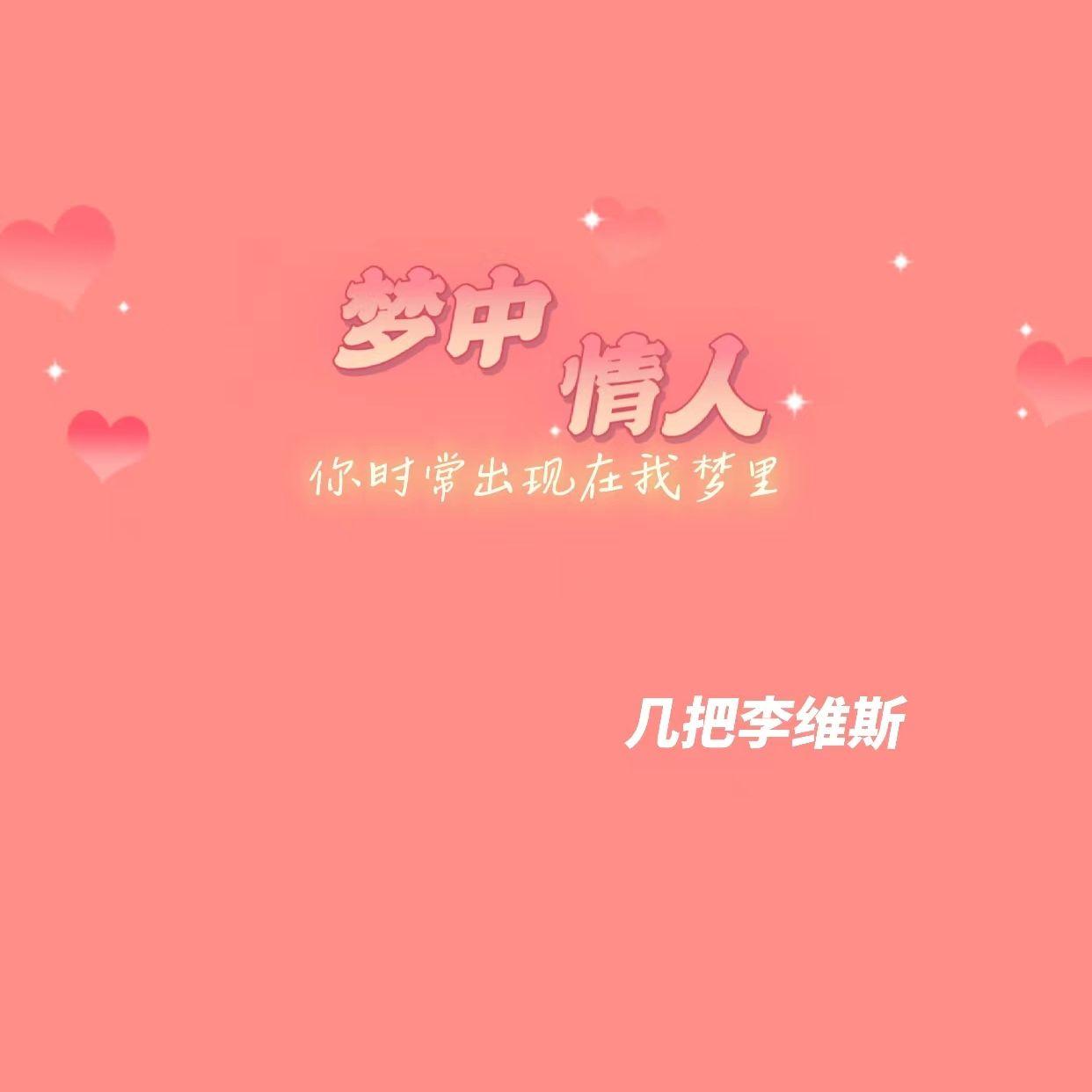 梦中情人live封面