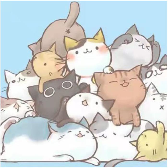学猫叫封面