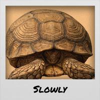 Slowly