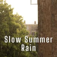 Slow Summer Rain