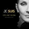 Céline Dion - Because You Loved Me