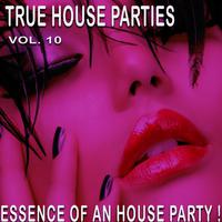 True House Parties:, Vol. 10