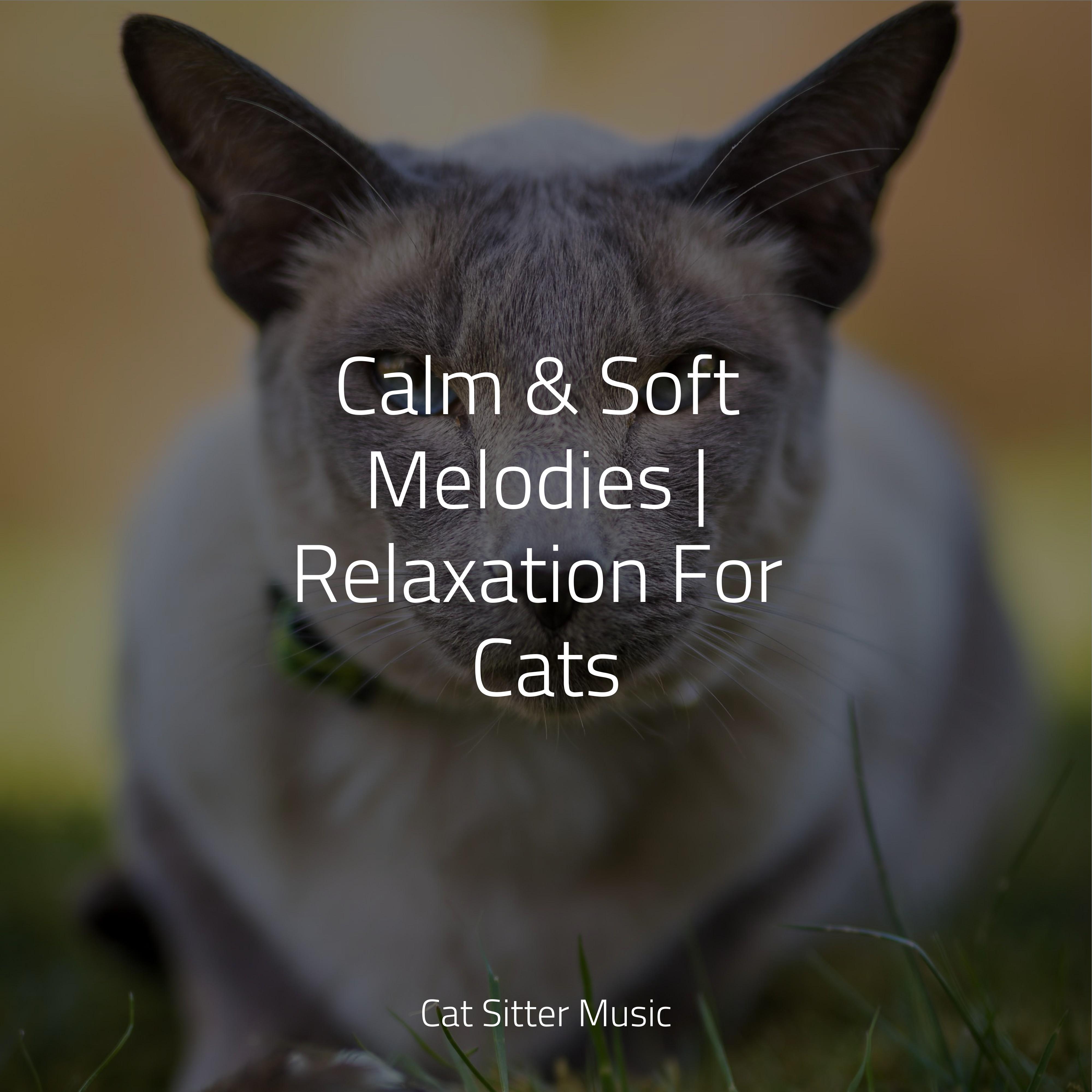 Tides Of Delta Waves Cat Music Relaxmycat Official Pet Care Collection 单曲 网易云音乐