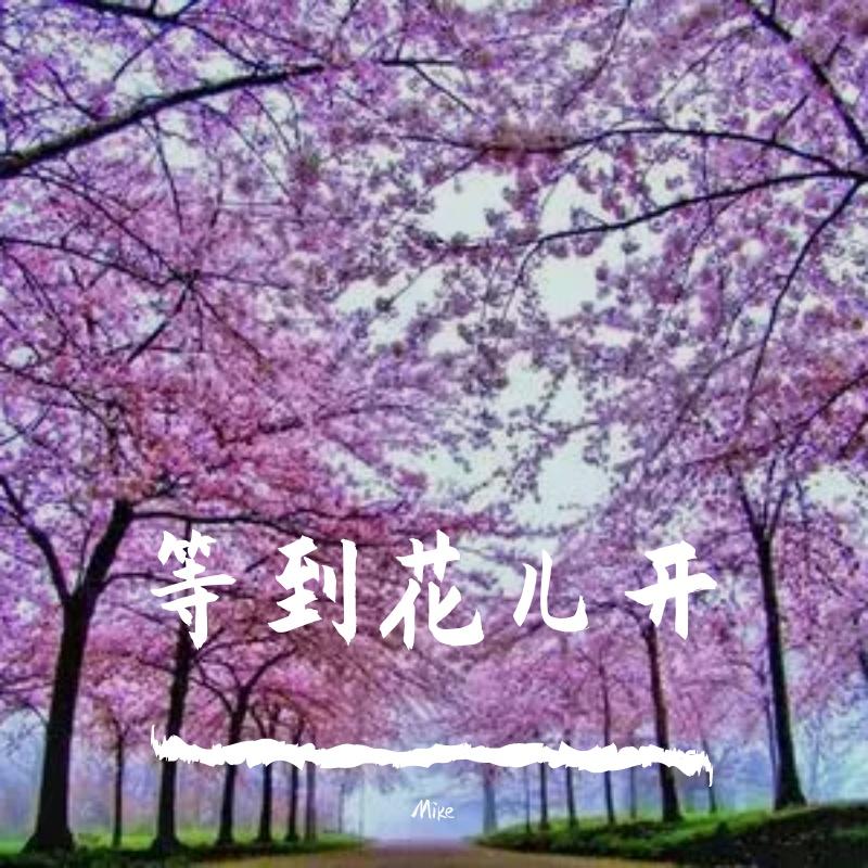 Mike-杭娇 - 等到花儿开 - 2020(Mike ReMix)（Mike remix）