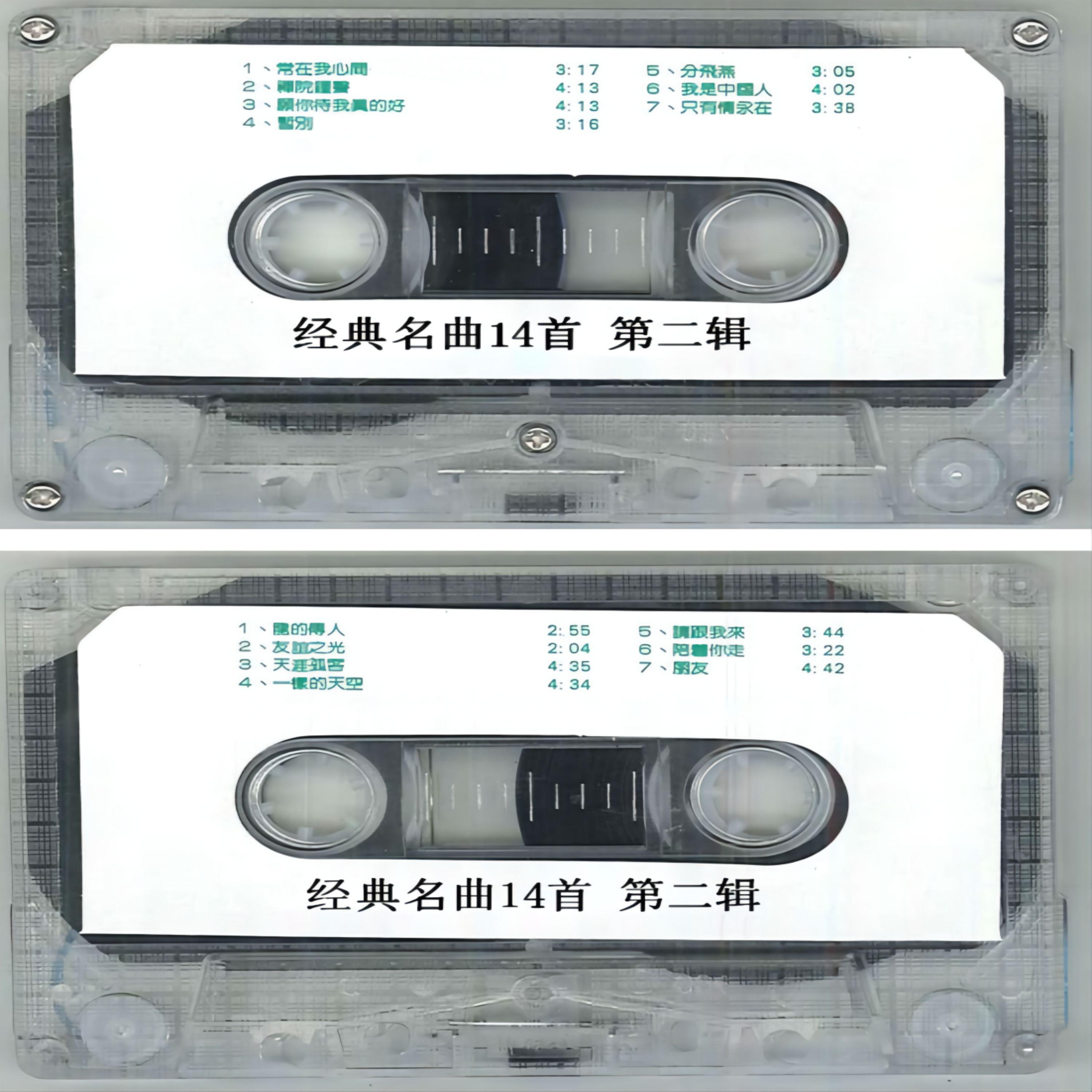 只有情永在封面