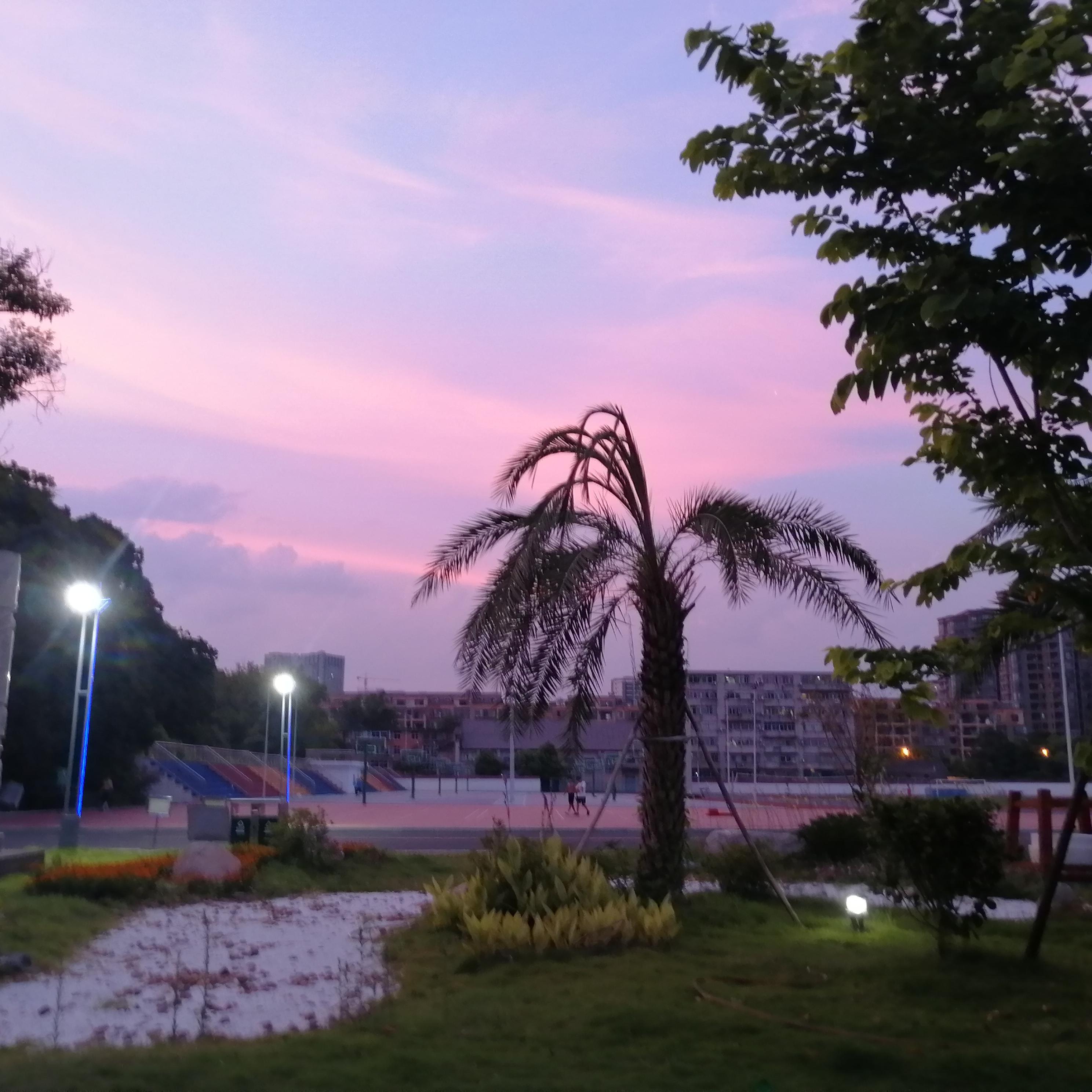 我想念封面