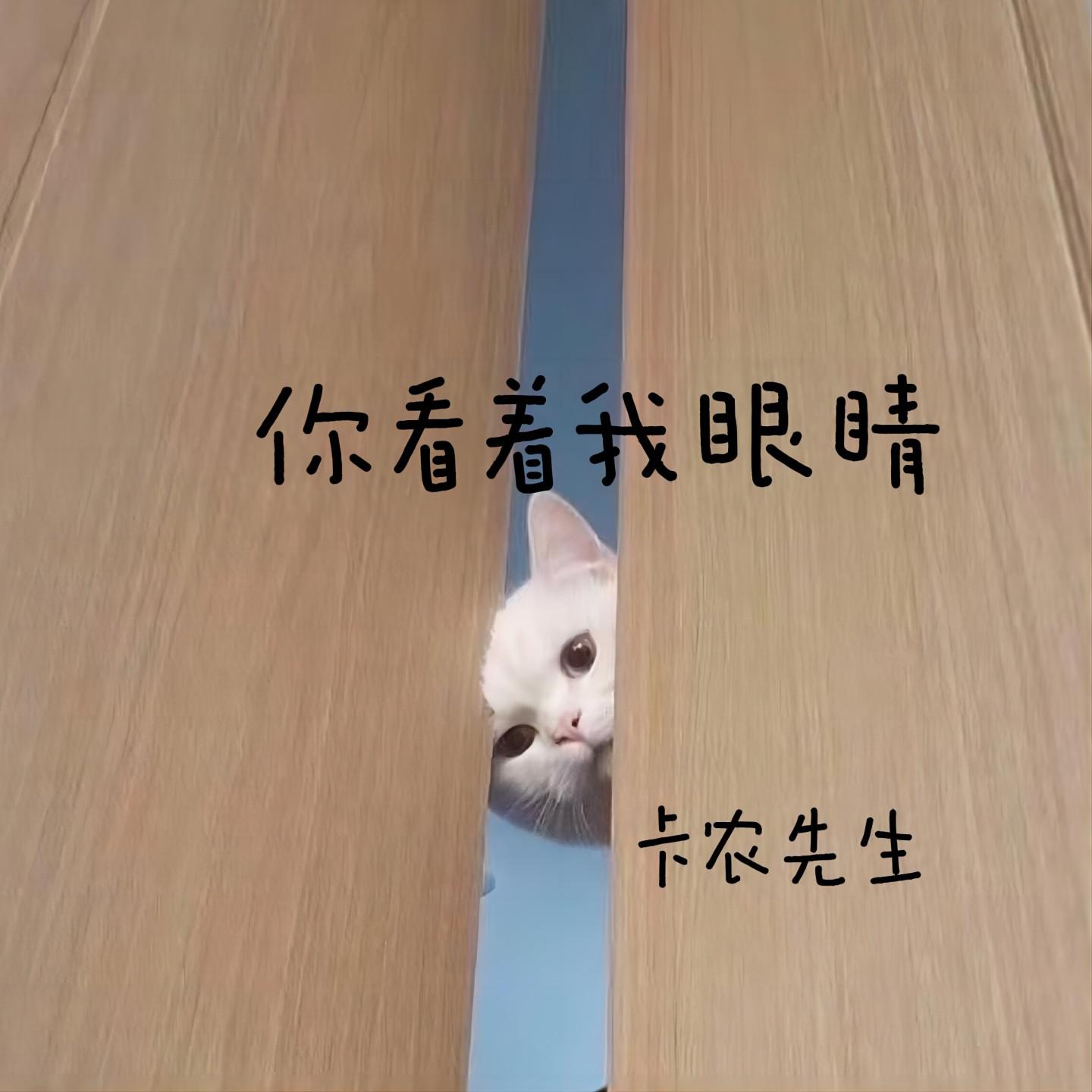 你看着我眼睛
