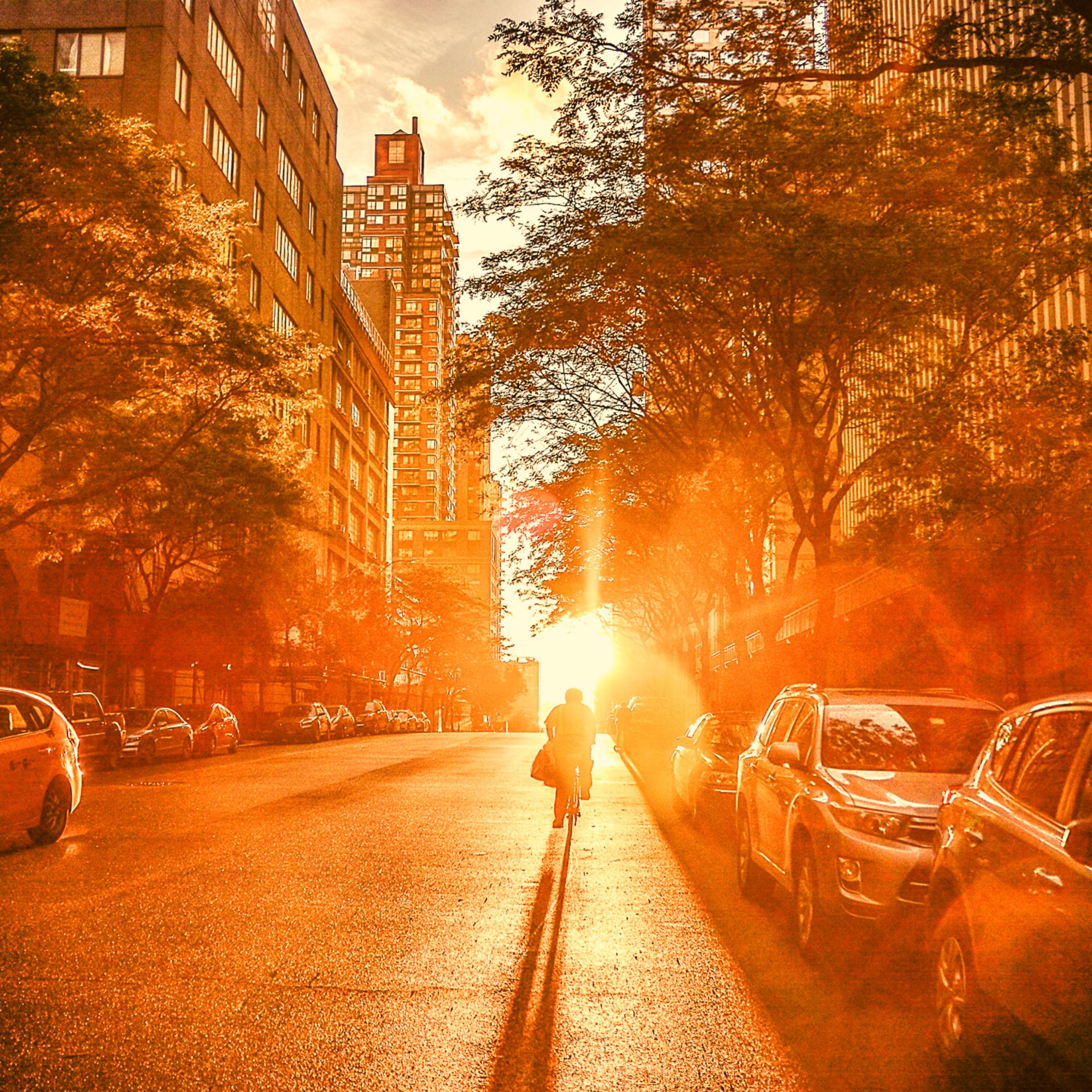 Fnf Cross Meniu Ukulele