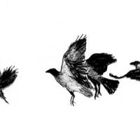 Tommie Sewon资料,Tommie Sewon最新歌曲,Tommie SewonMV视频,Tommie Sewon音乐专辑,Tommie Sewon好听的歌