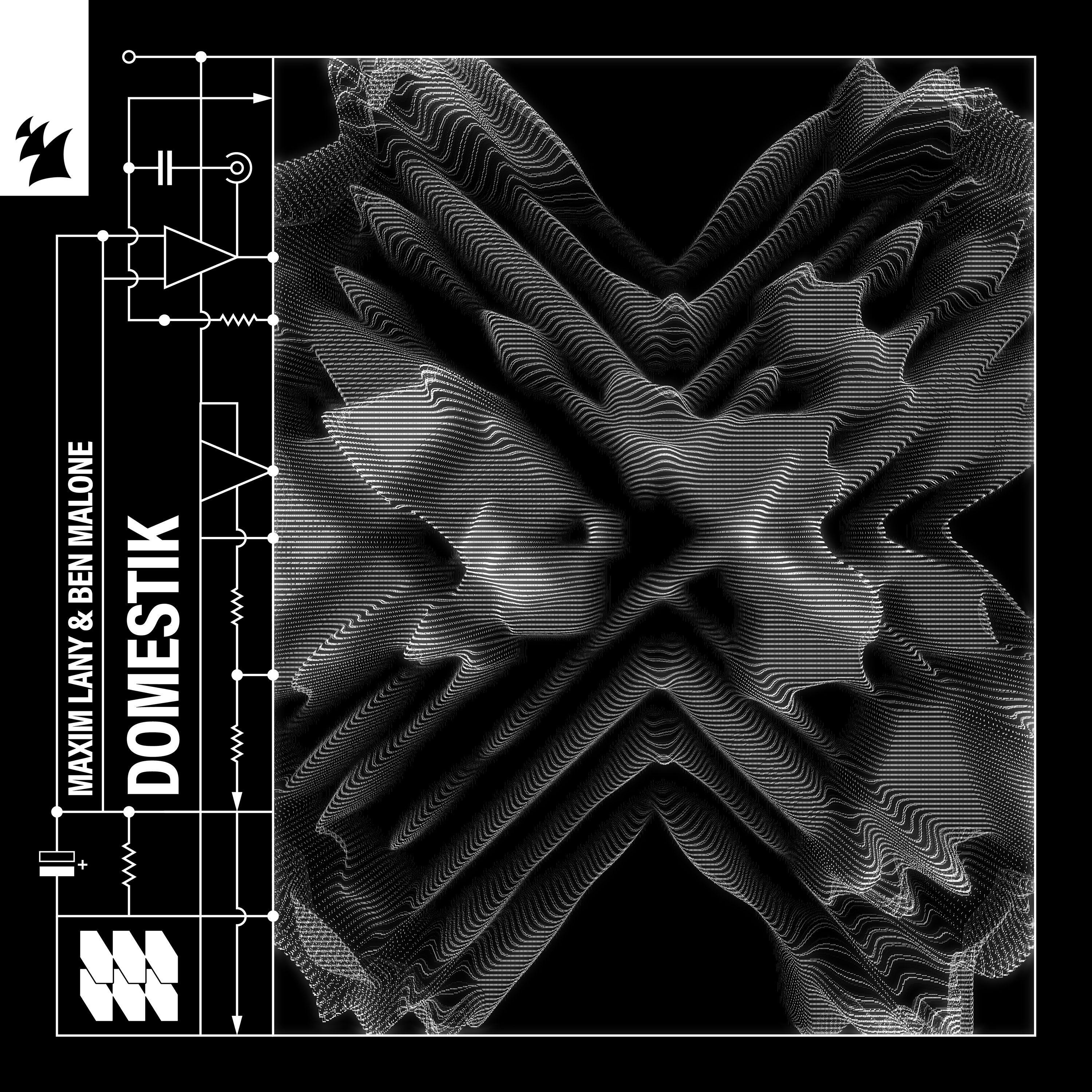 Domestik (Extended Mix)