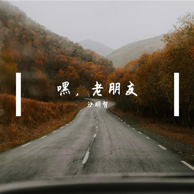 老朋友封面