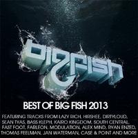 Best Of Big Fish 2013