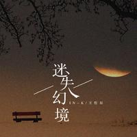 IN-K