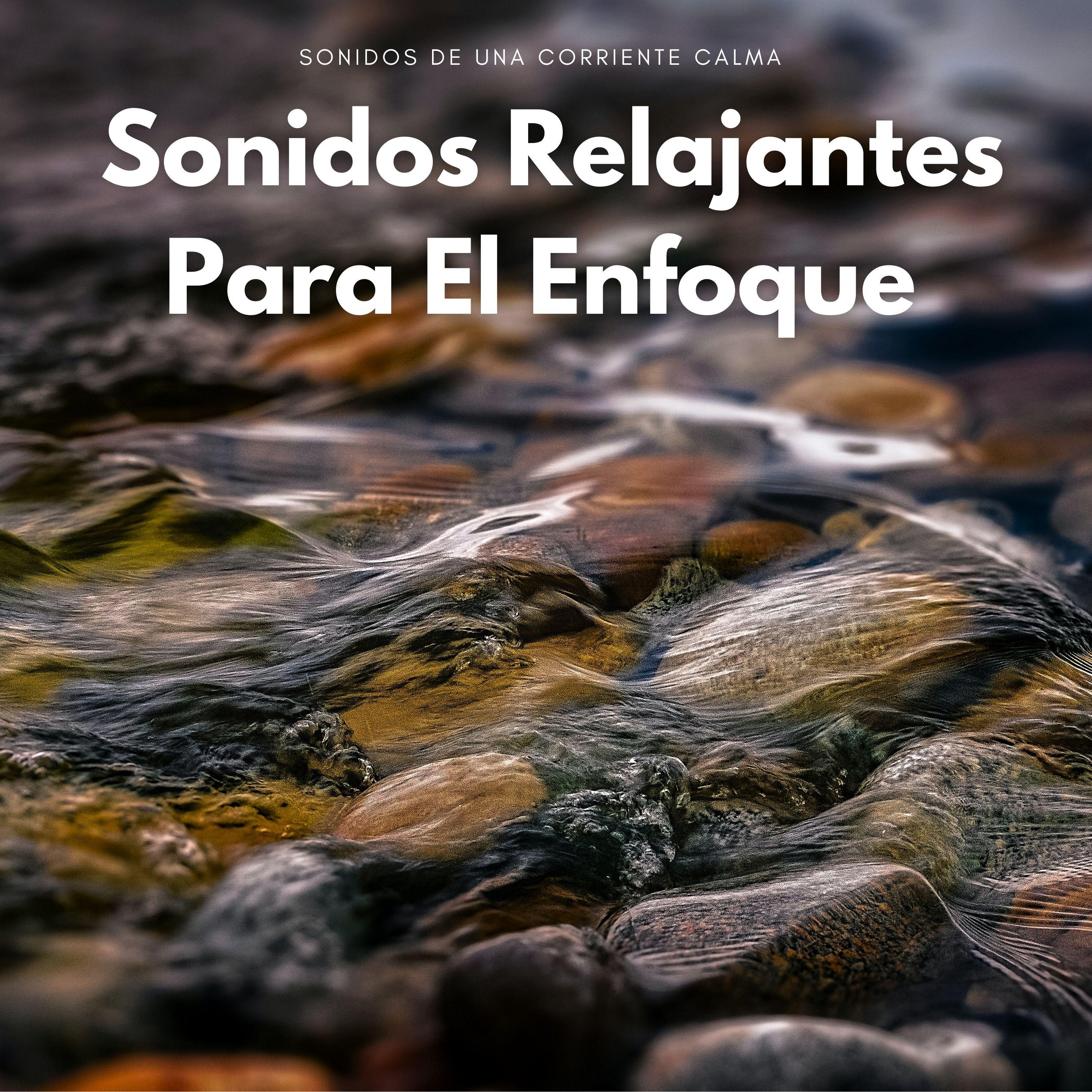 Pensamientos Tranquilos_Paisaje sonoro de agua goteando_Sonidos De Una Corriente Calma: Sonidos Relajantes Para El Enfoque | 在线播放_Pensamientos Tranquilos歌词_Pensamientos Tranquilos下载 | 网易云音乐