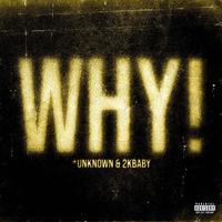 WHY! (feat. 2KBABY)