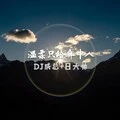 说好了不见面 (DJ版)封面
