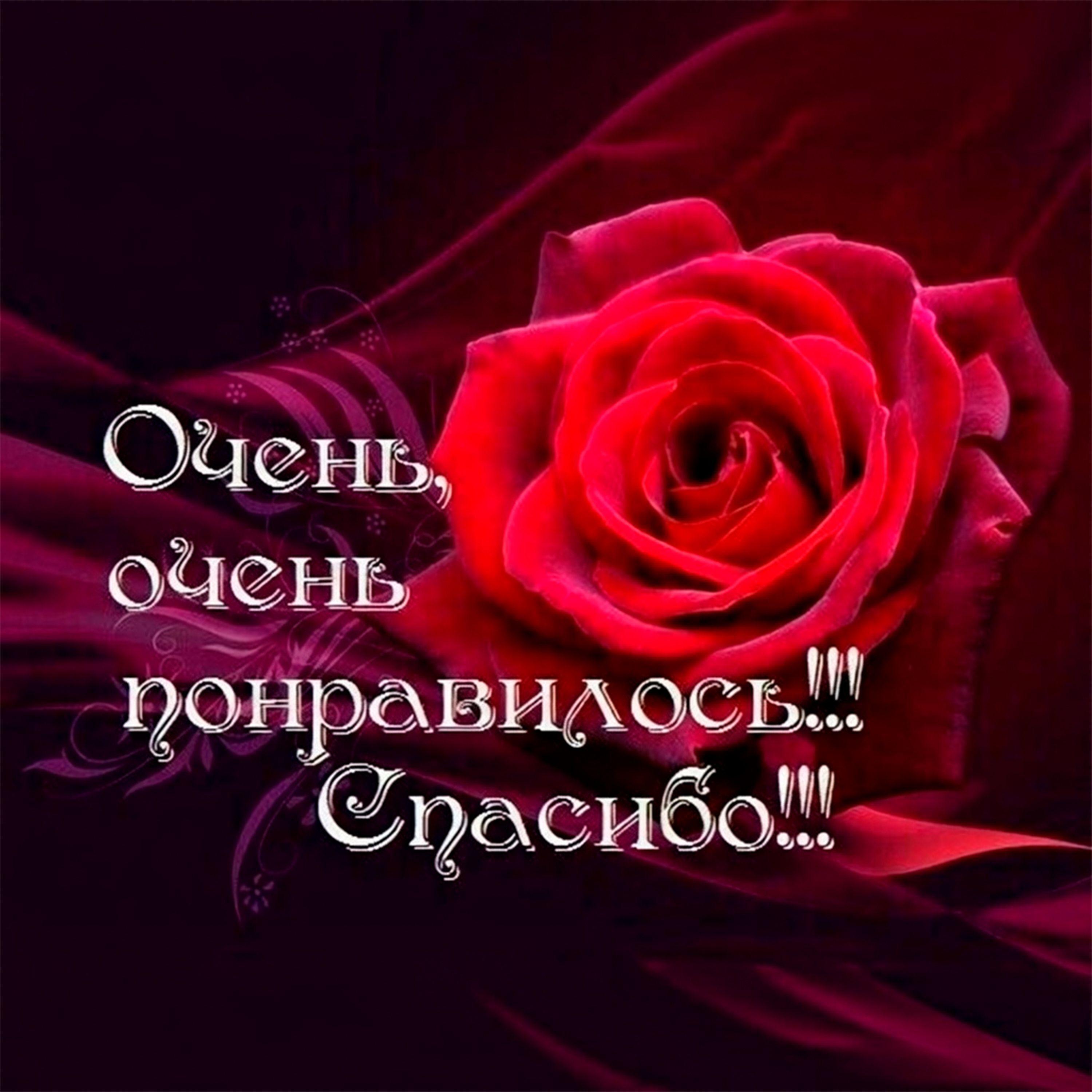 чтобы тронуло