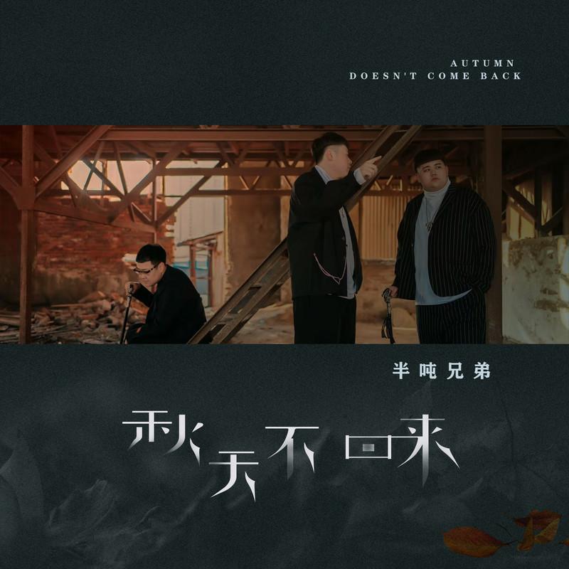 秋天不回来 (烟嗓版伴奏)封面
