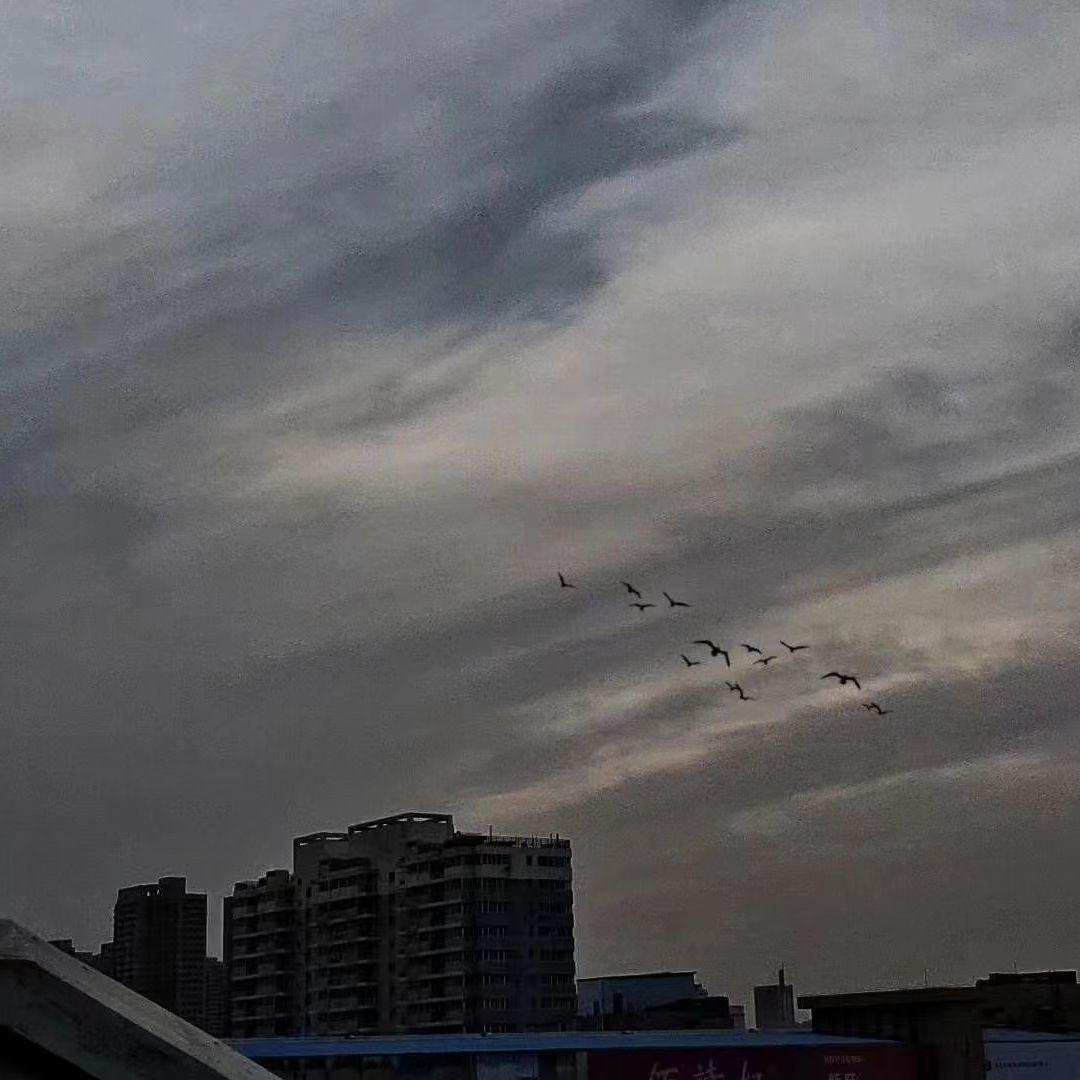 摇摆（WAVE）封面