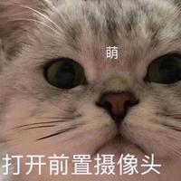 鱼翅翅翅
