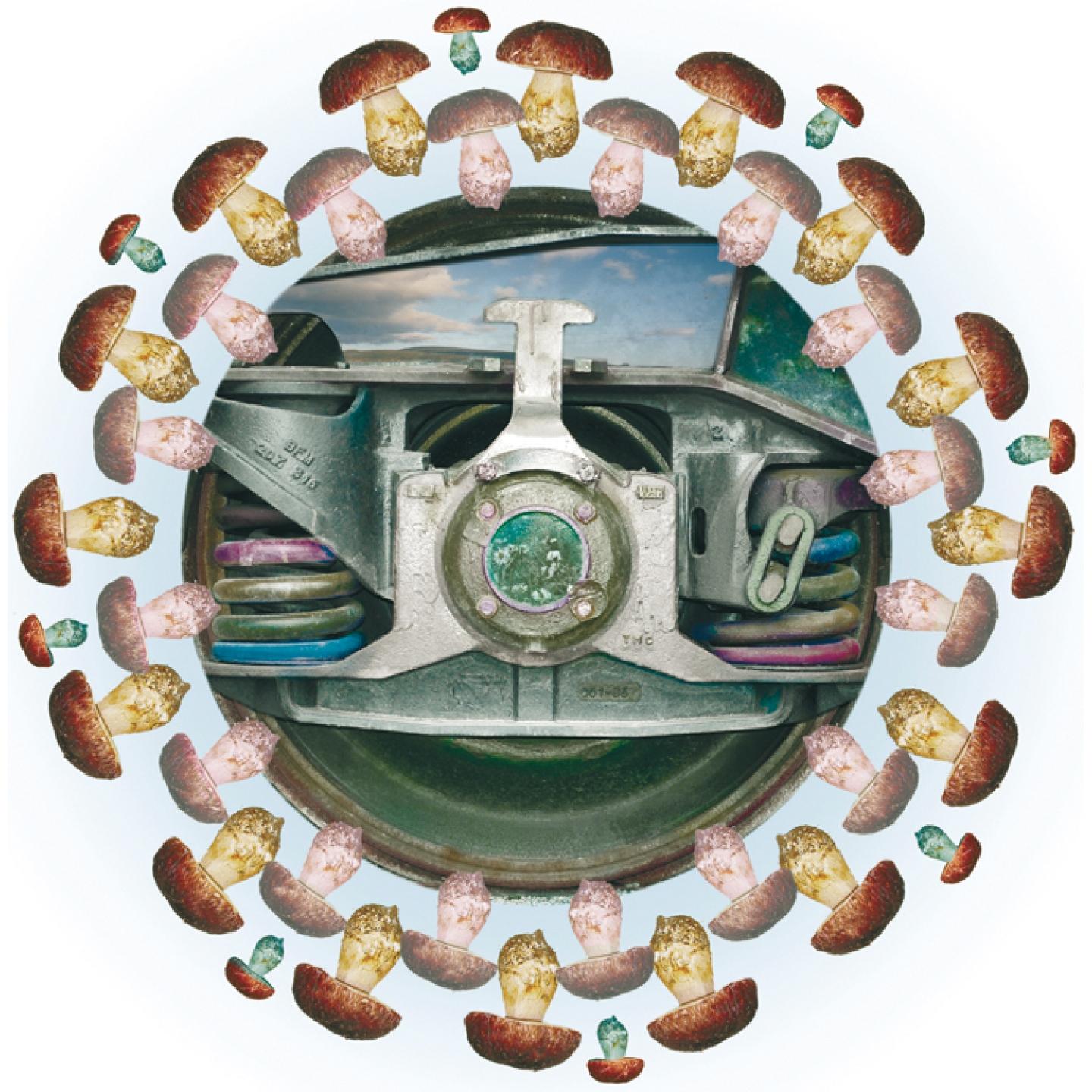 Alla Ricerca del Silenzio Perduto Il Treno di John Cage:I. Bologna - Riola - Porretta