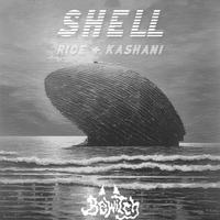 shell (feat. rice & kashani)