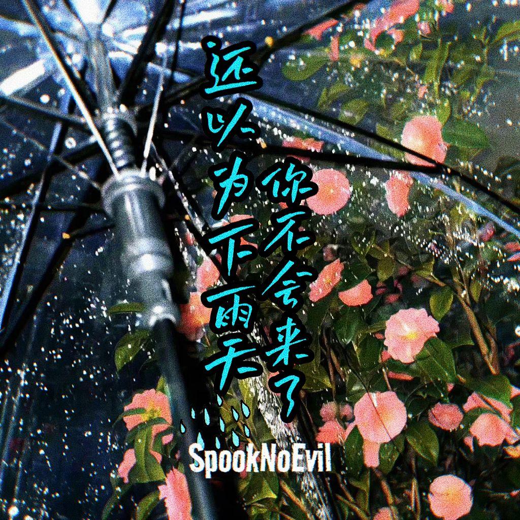 还以为下雨天你不会来了封面