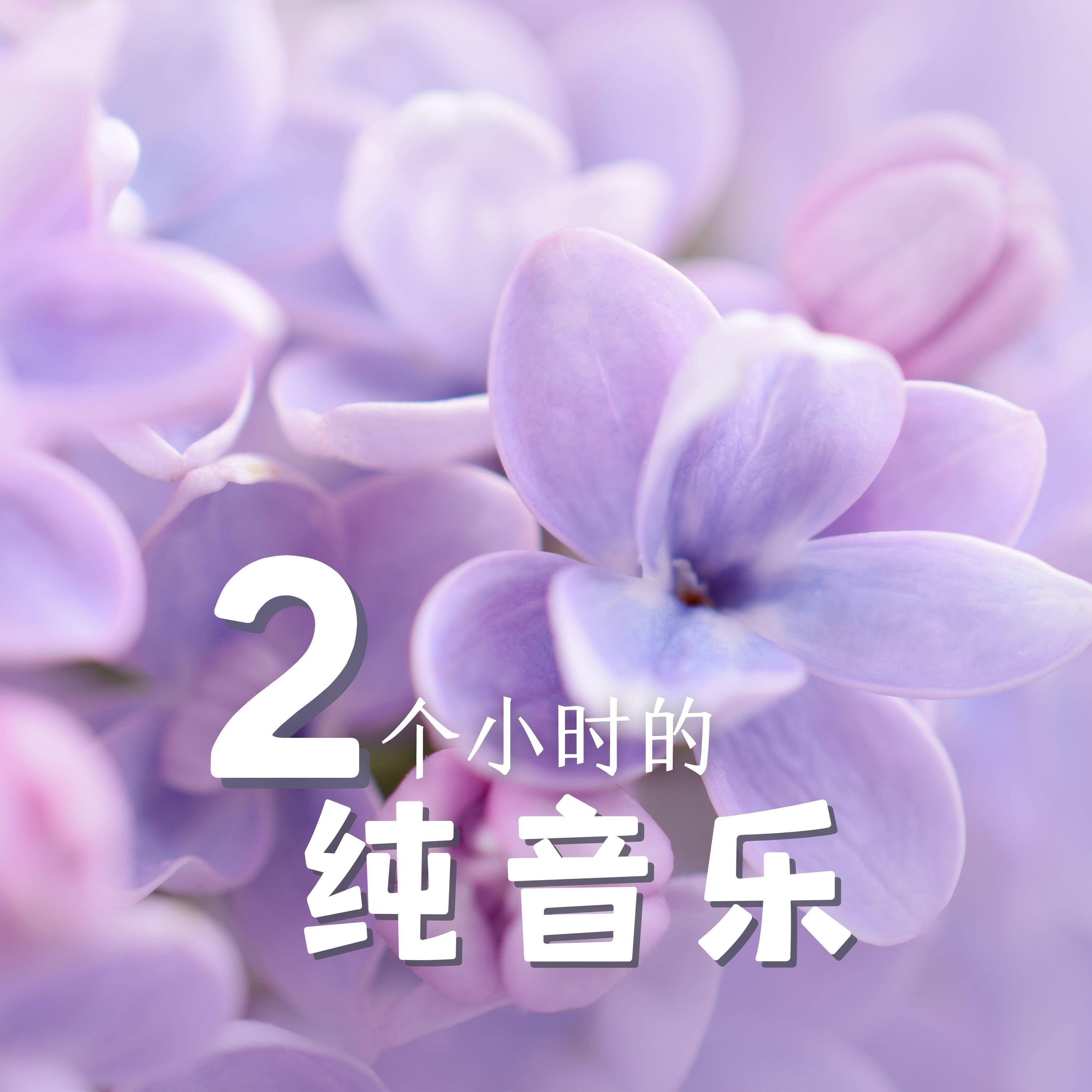 轻背景音乐封面