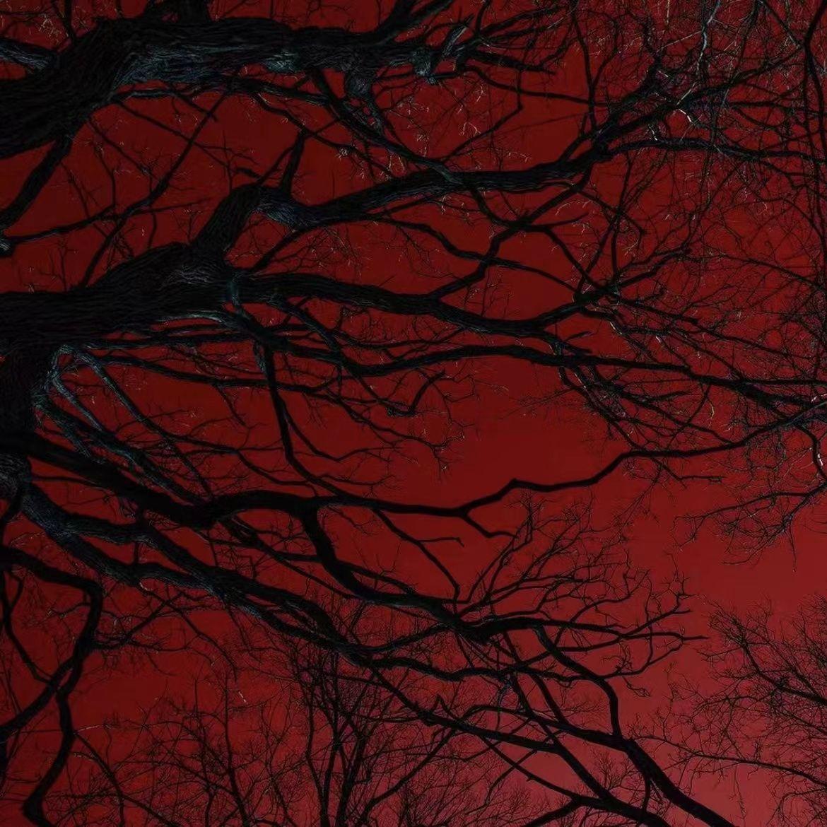 独家记忆（Prod by牙刷）