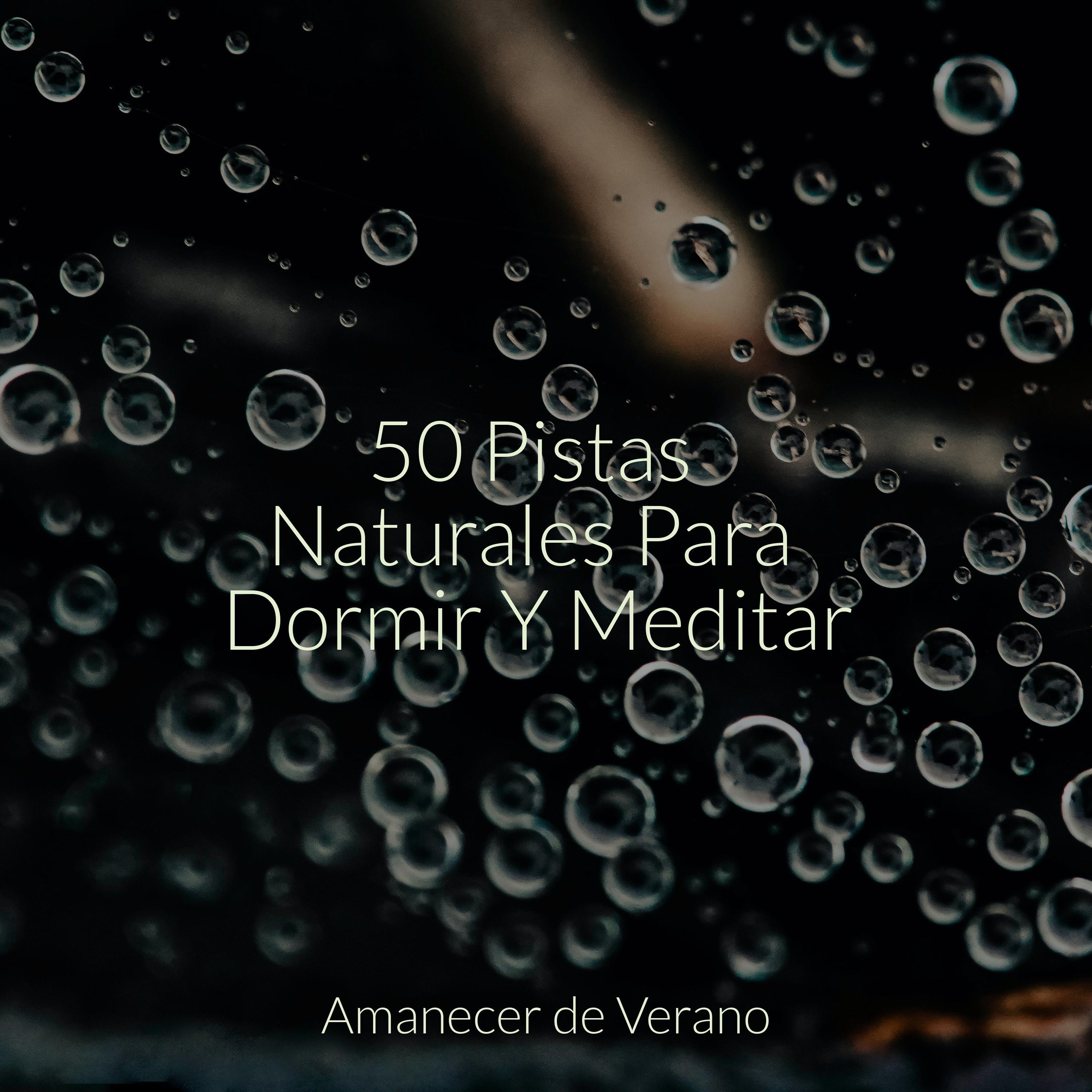 Gracia de Gossamer_Meditation Relaxation Club_50 Pistas Naturales Para Dormir Y Meditar | 在线播放_Gracia de Gossamer歌词_Gracia de Gossamer下载 | 网易云音乐