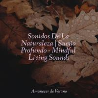 Sonidos De La Naturaleza | Sueño Profundo - Mindful Living Sounds