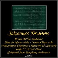 Johannes Brahms (Live)