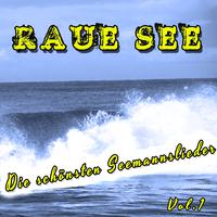 Raue See, Vol. 1 (Die schönsten Seemannslieder)