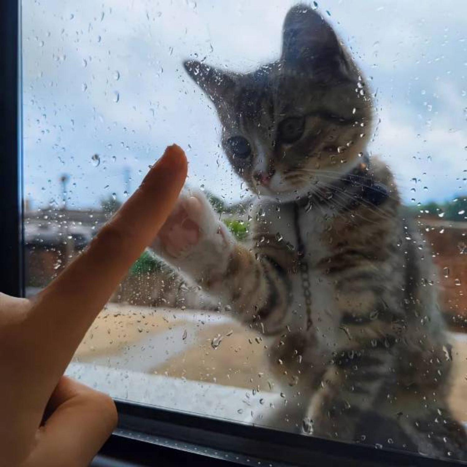 千万次想象封面
