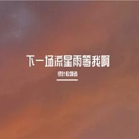 下一场流星雨等我啊