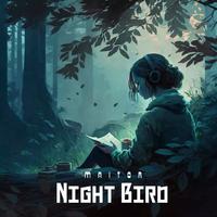 Night Bird