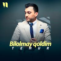 Bilolmay qoldim