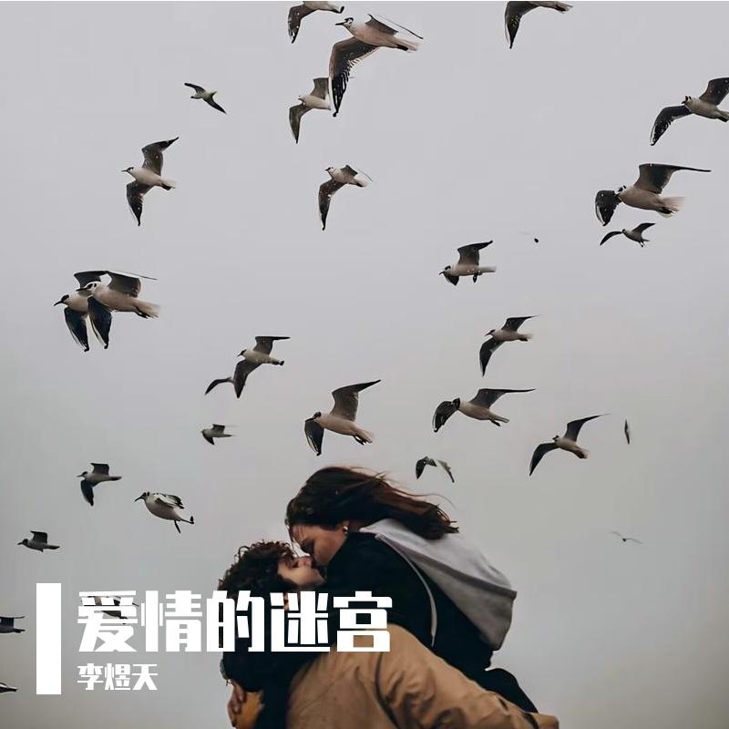 爱情的迷宫_李煜天_爱情的迷宫 | 在线播放_爱情的迷宫歌词_爱情的迷宫下载 | 网易云音乐