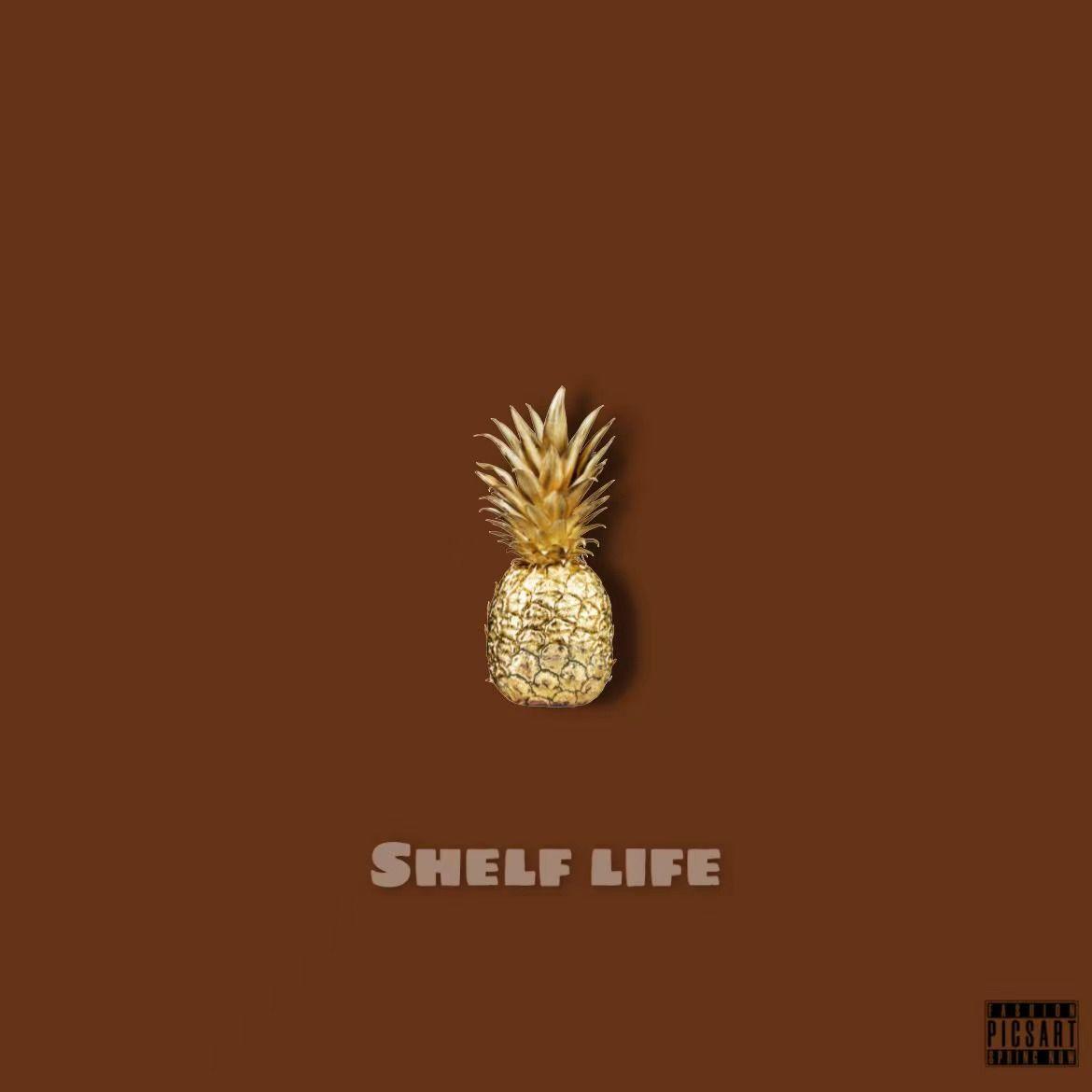 保质期（Shelf life）封面