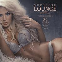 Superior Lounge, Vol. 2 (25 Premium Lounge Tunes)