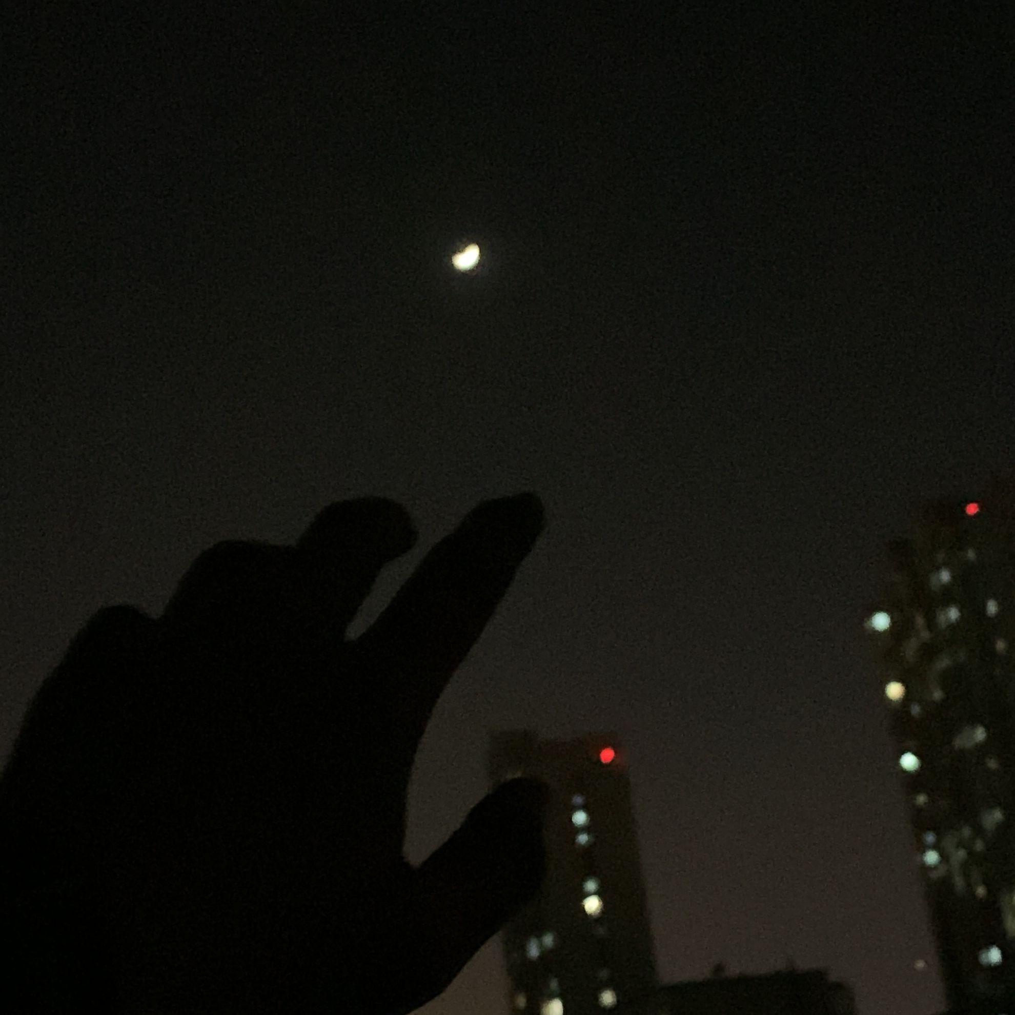 今夜不再想她封面