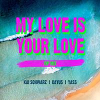 My Love Is Your Love (VIP Mix)