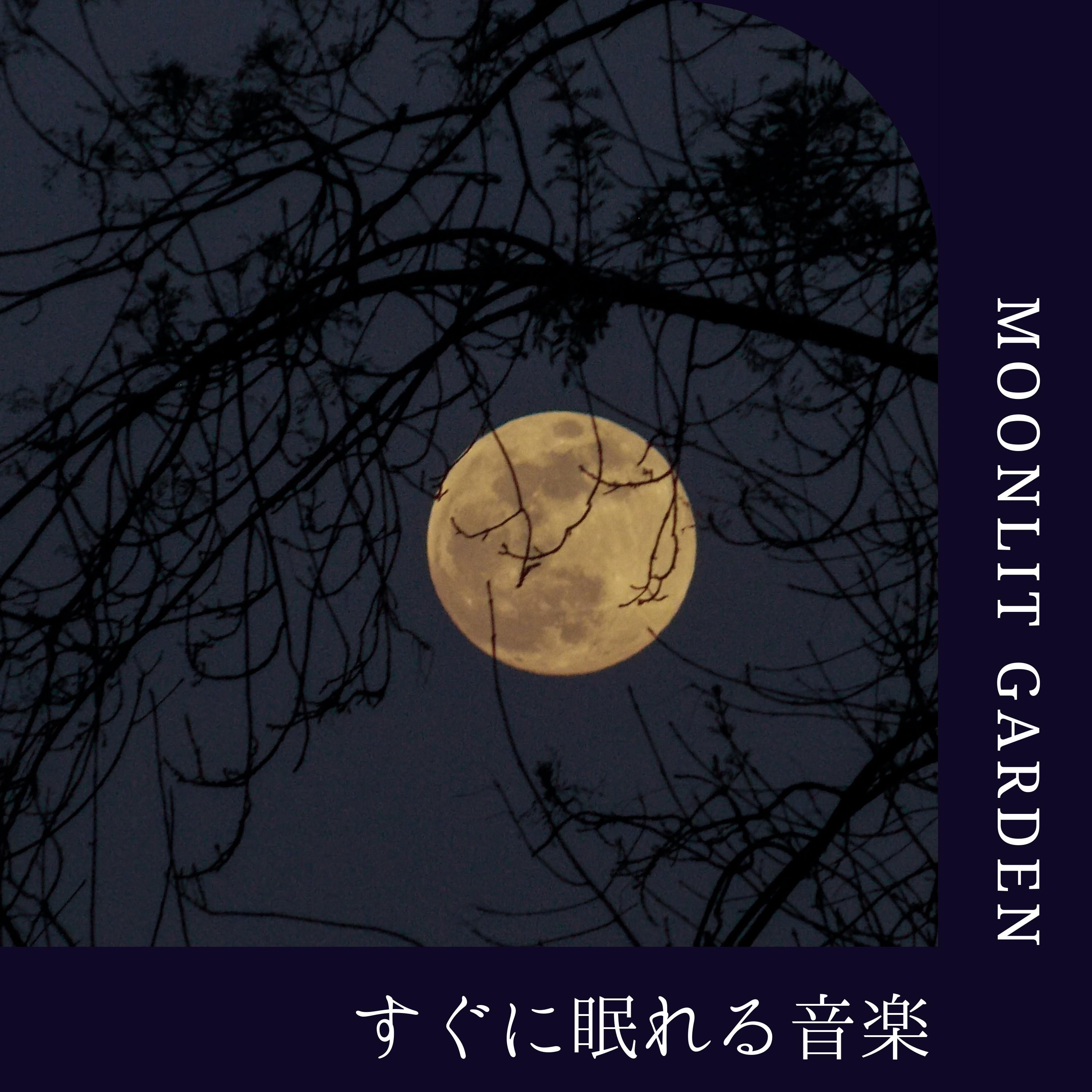 Hushed Valley Dreamscapes