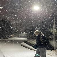 snowfall