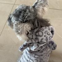 一颗橙子资料,一颗橙子最新歌曲,一颗橙子MV视频,一颗橙子音乐专辑,一颗橙子好听的歌